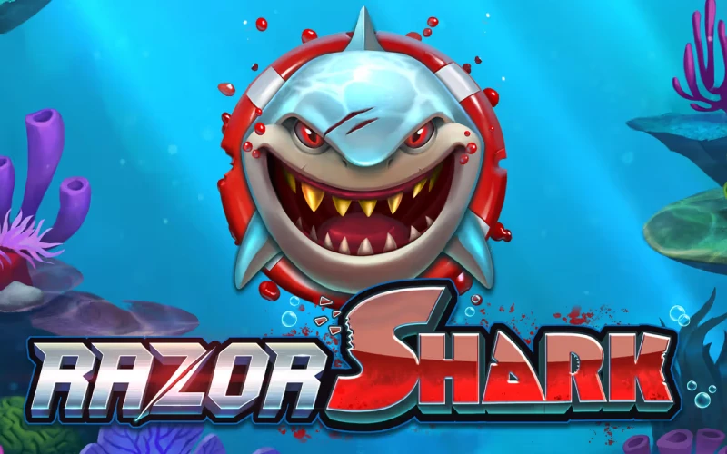 Razor Shark slot sur Stonevegas avec thèmes sous-marins, multiplicateurs et fonctionnalités bonus.